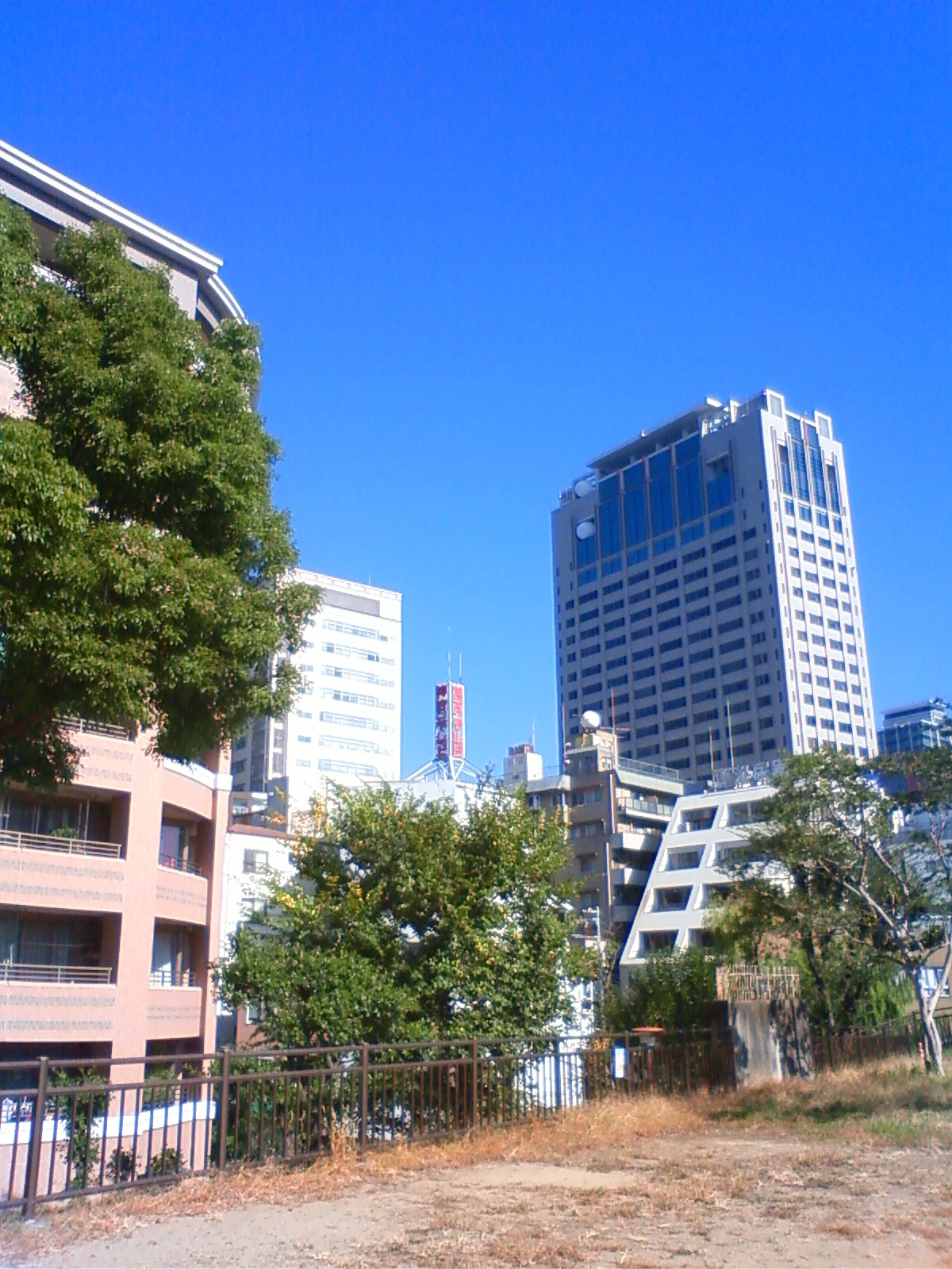 NEC_1408.JPG