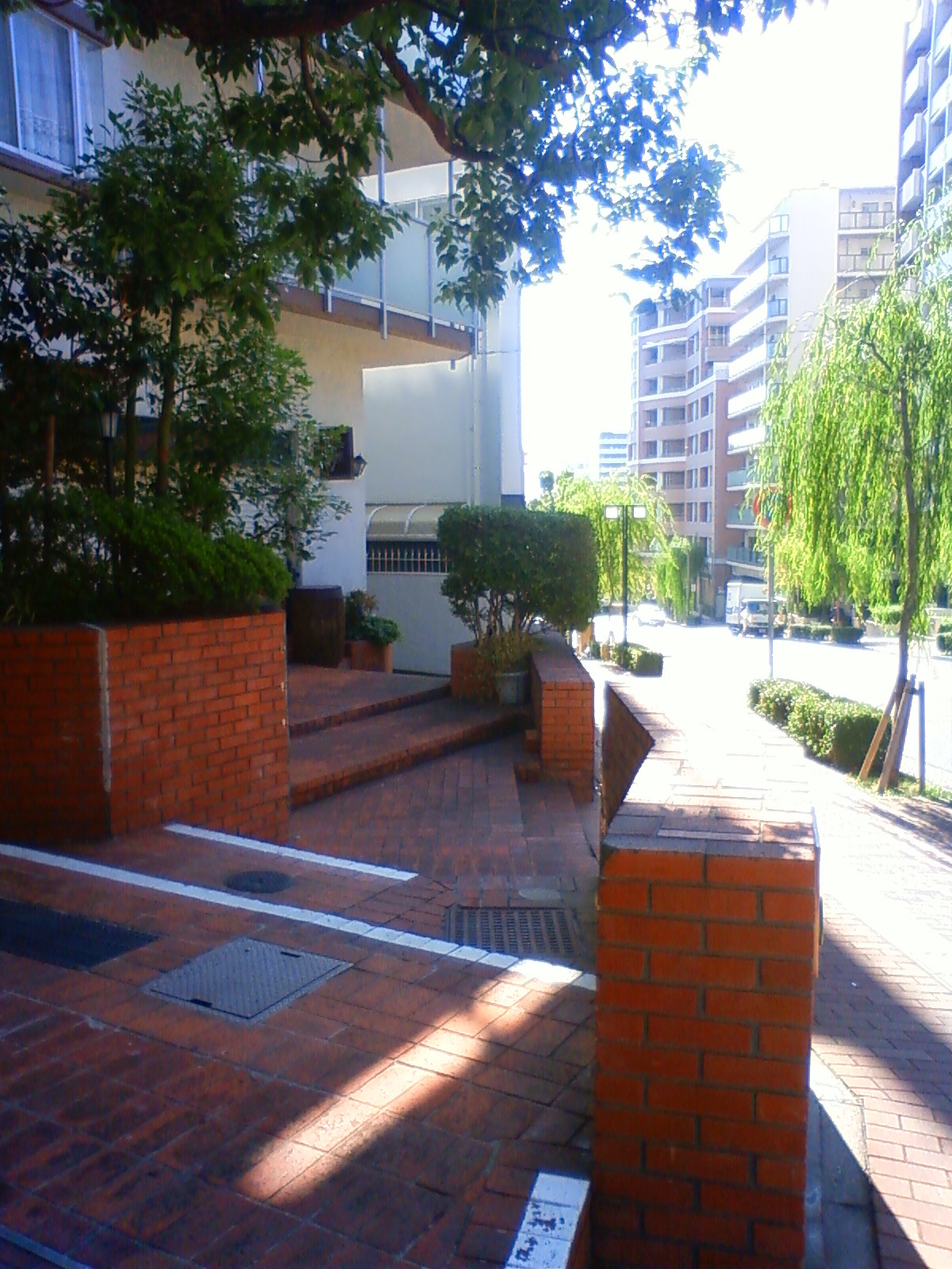 NEC_1409.JPG