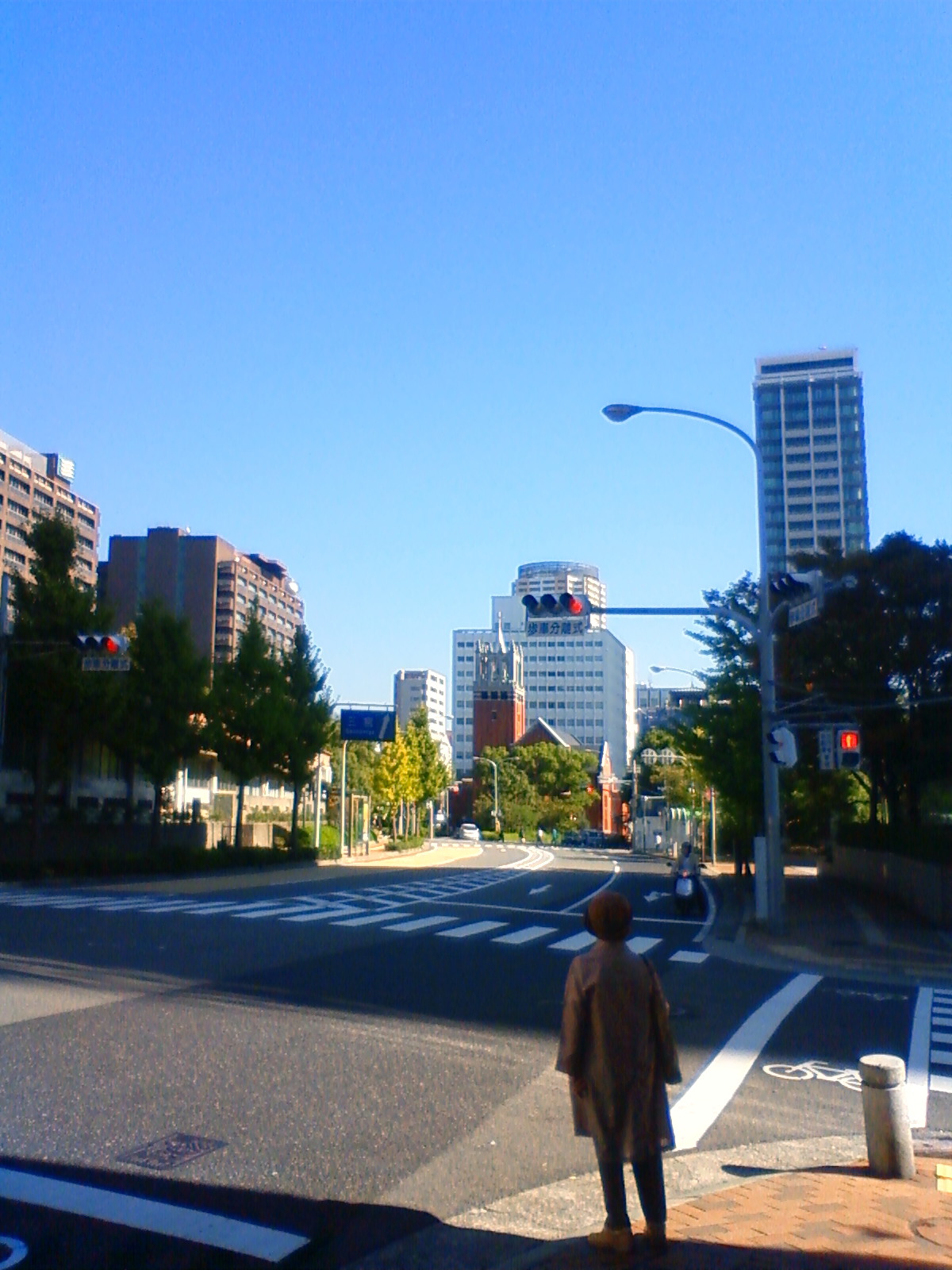NEC_1410.JPG