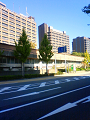 NEC_1411_thumb.png