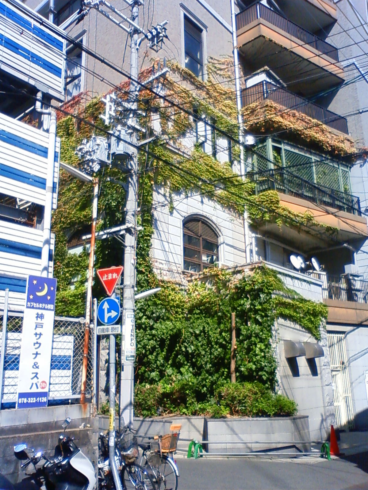 NEC_1418.JPG
