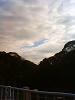 NEC_2709_thumb.png