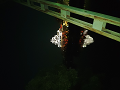 KIMG0123_thumb.png