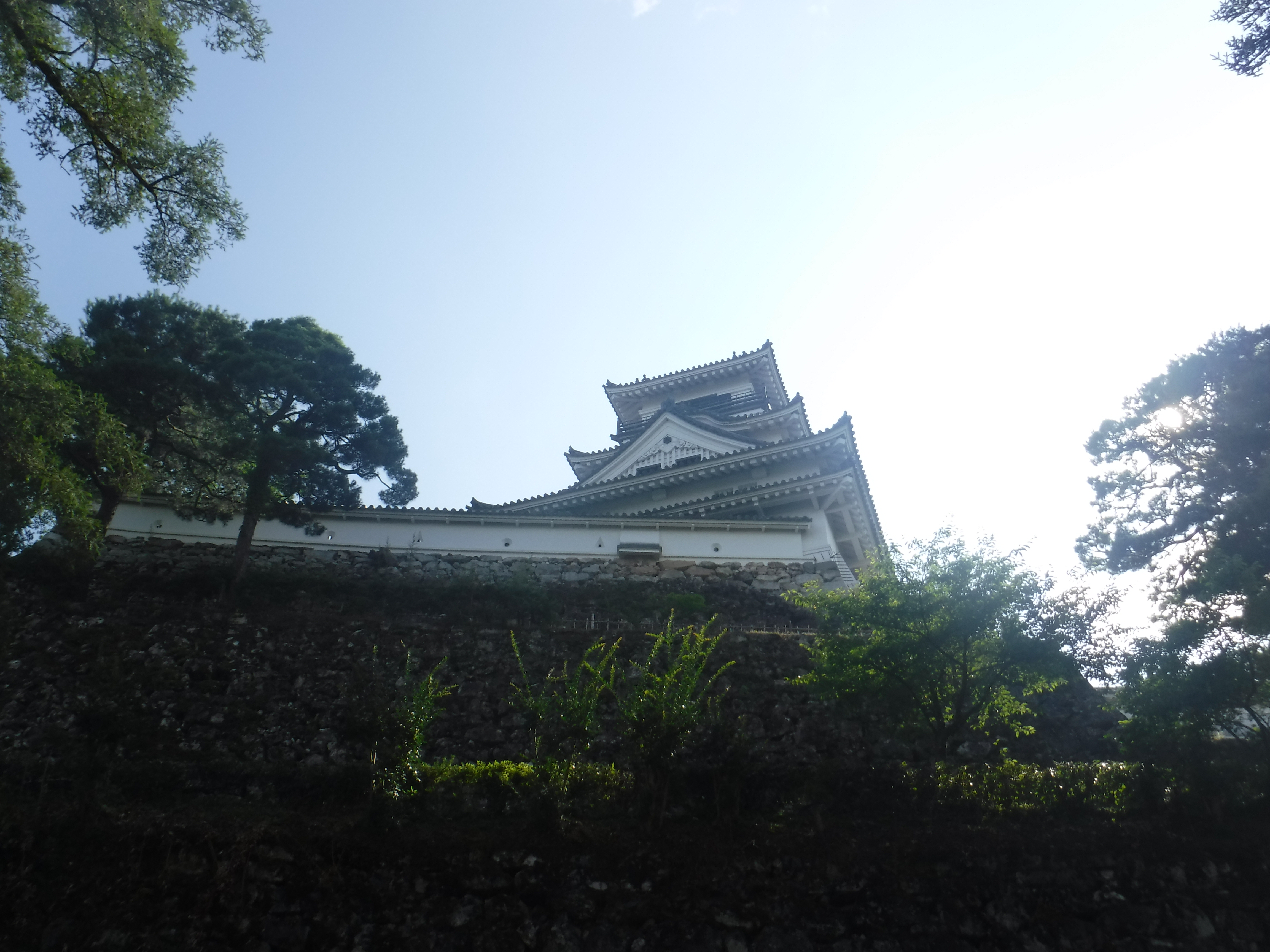 DSCF0053.JPG