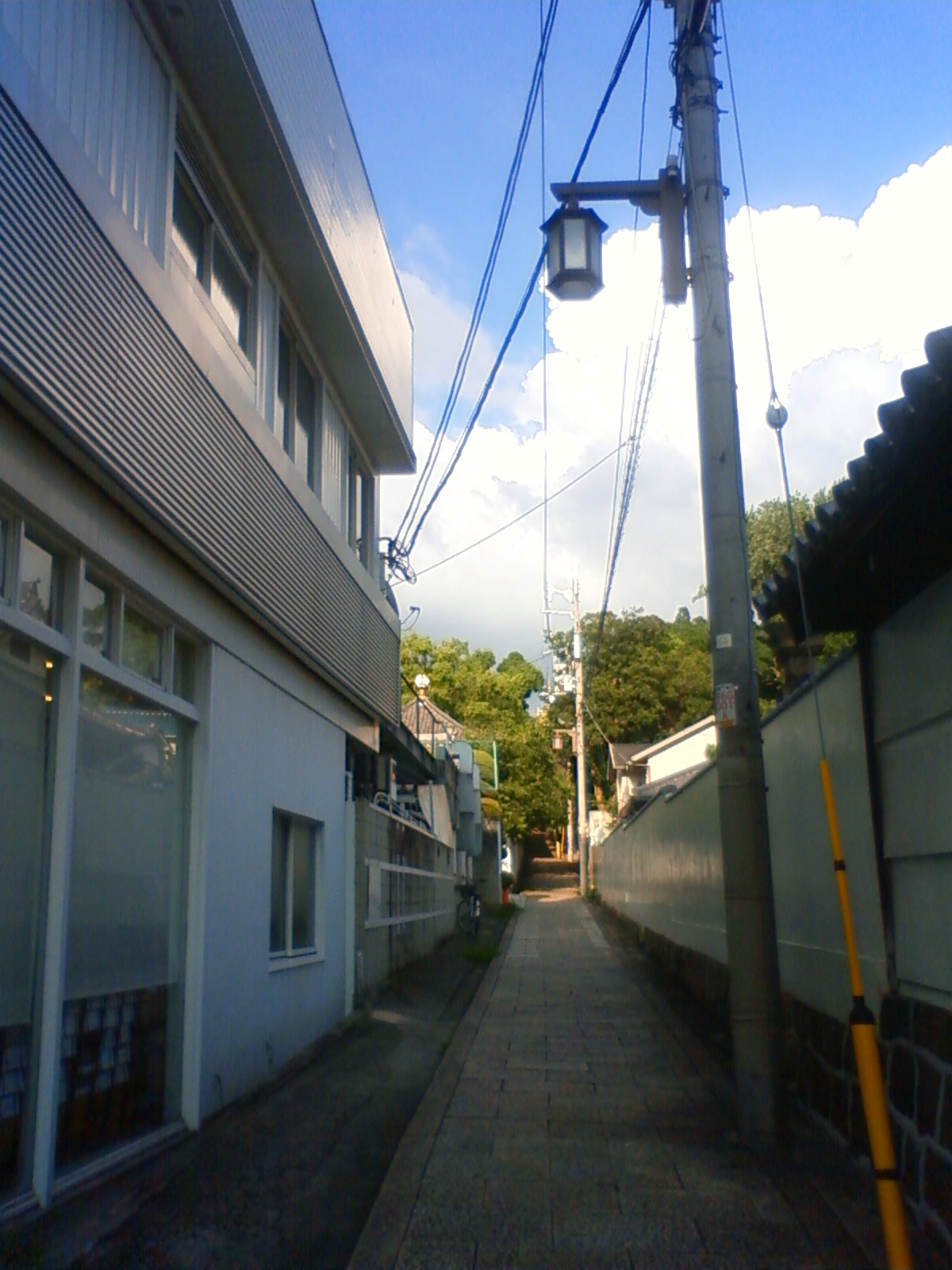 NEC_1296.JPG
