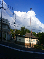 NEC_1298_thumb.png