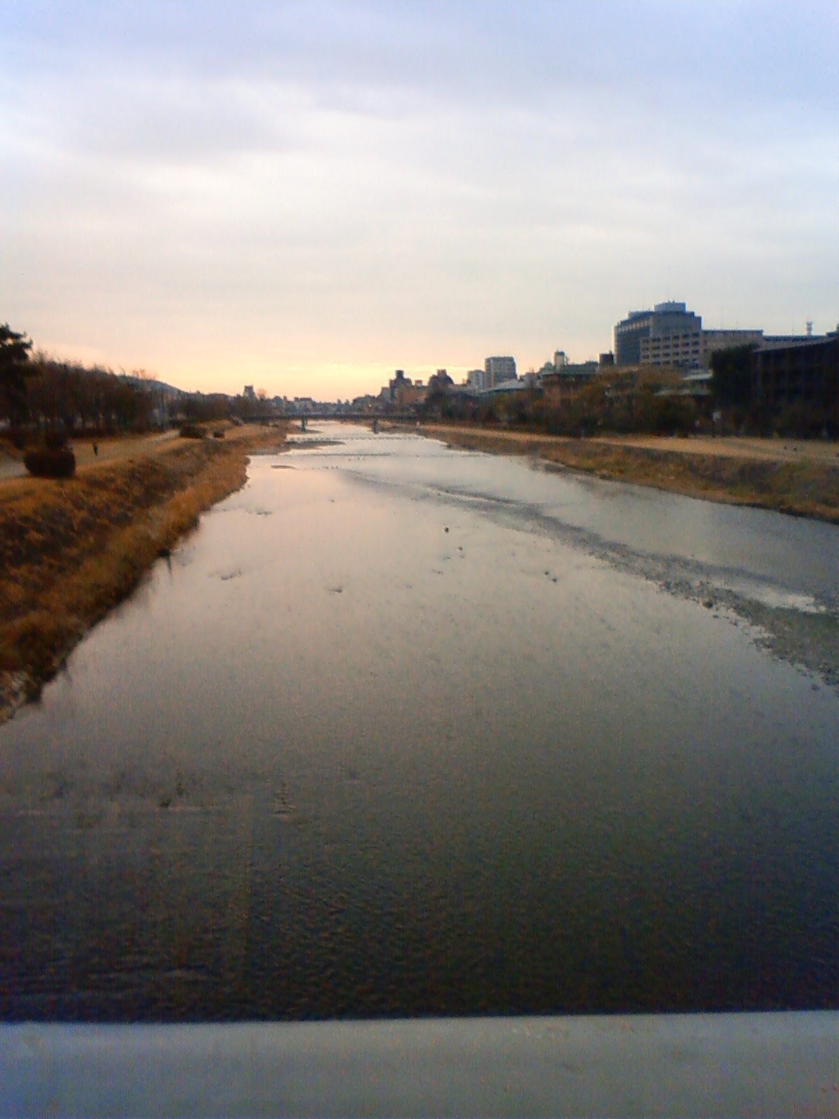 NEC_0209.JPG
