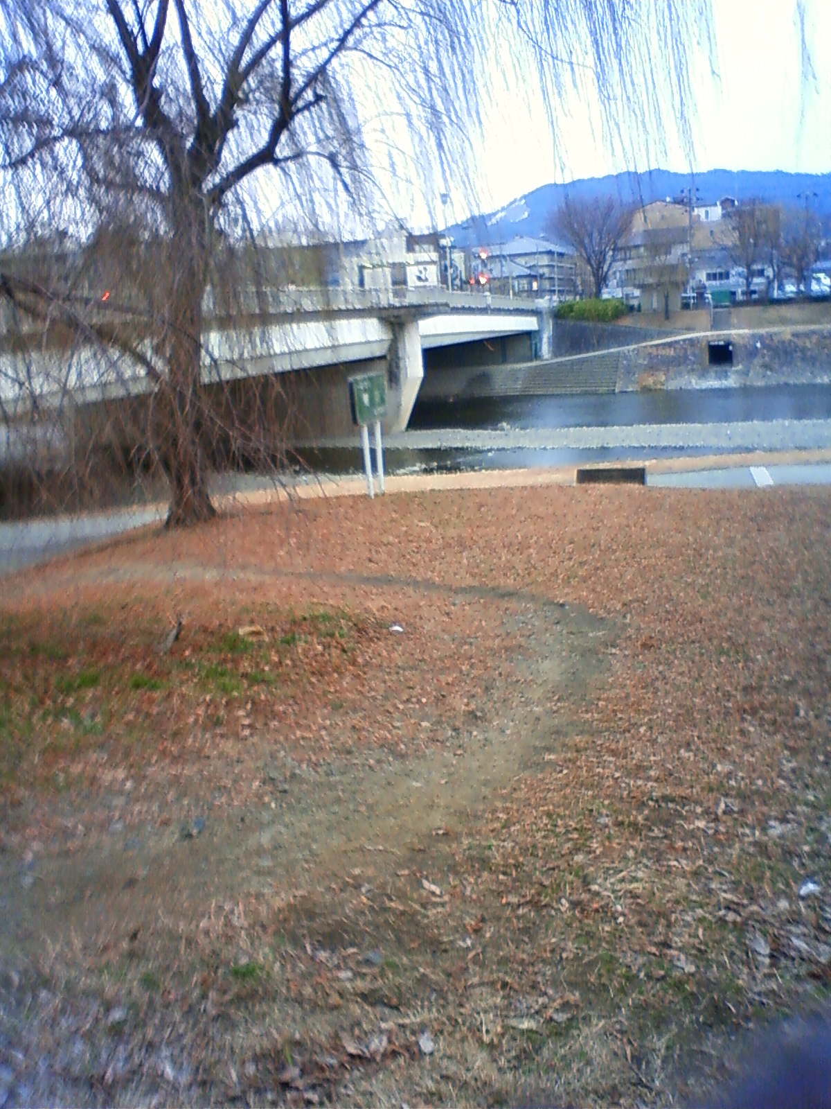 NEC_0213.JPG