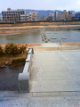 NEC_0215_thumb.png