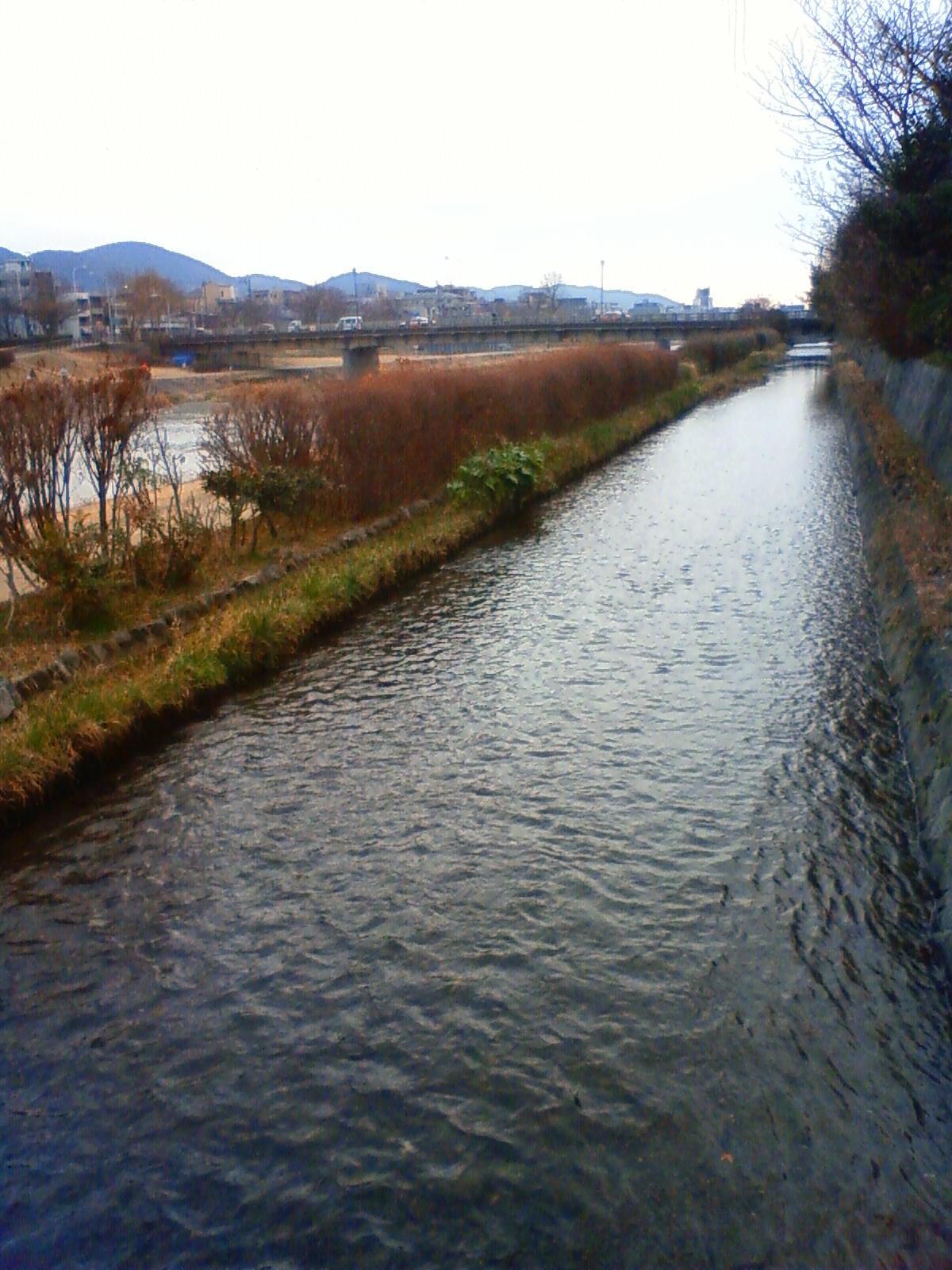 NEC_0217.JPG