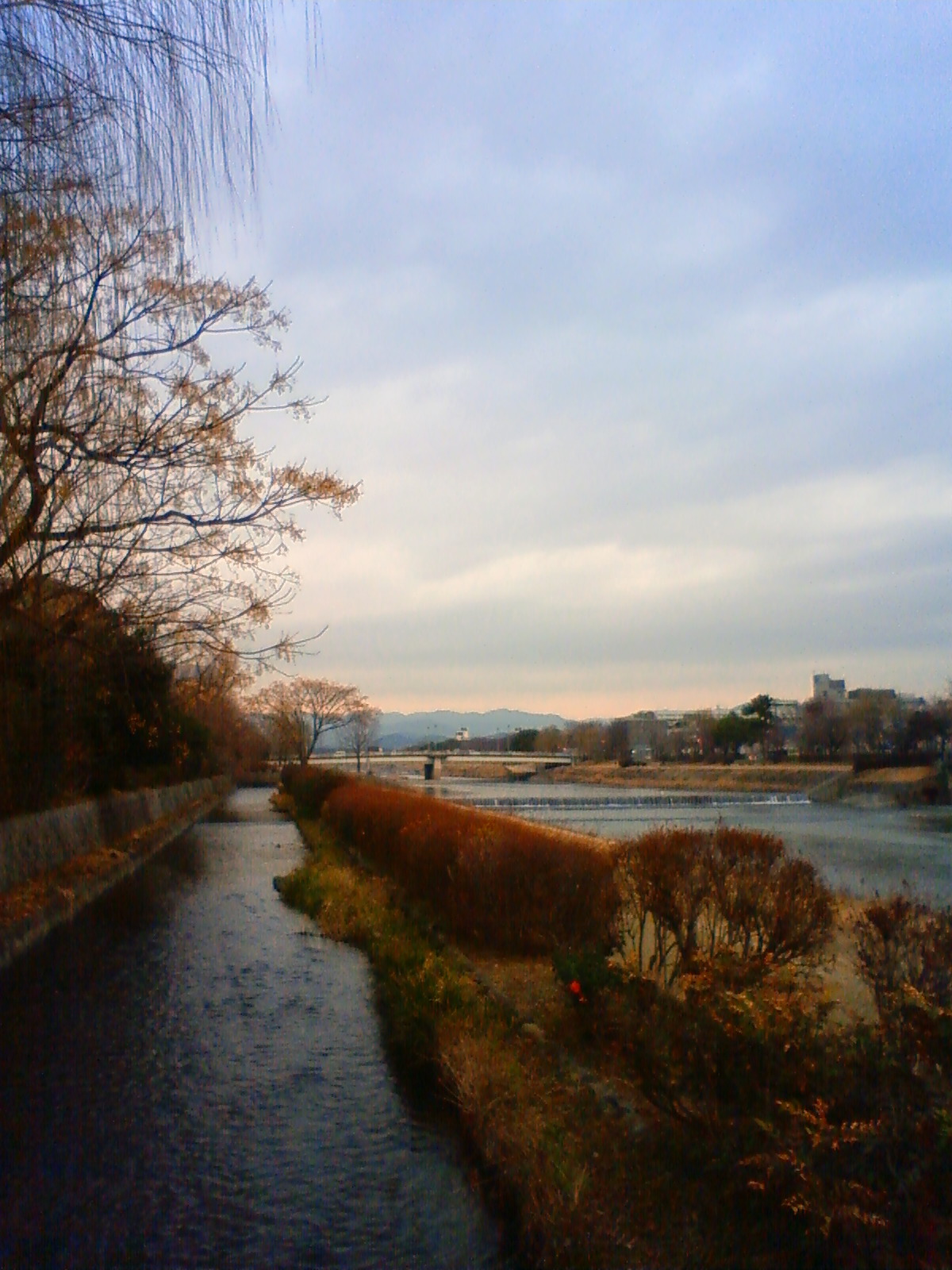 NEC_0218.JPG