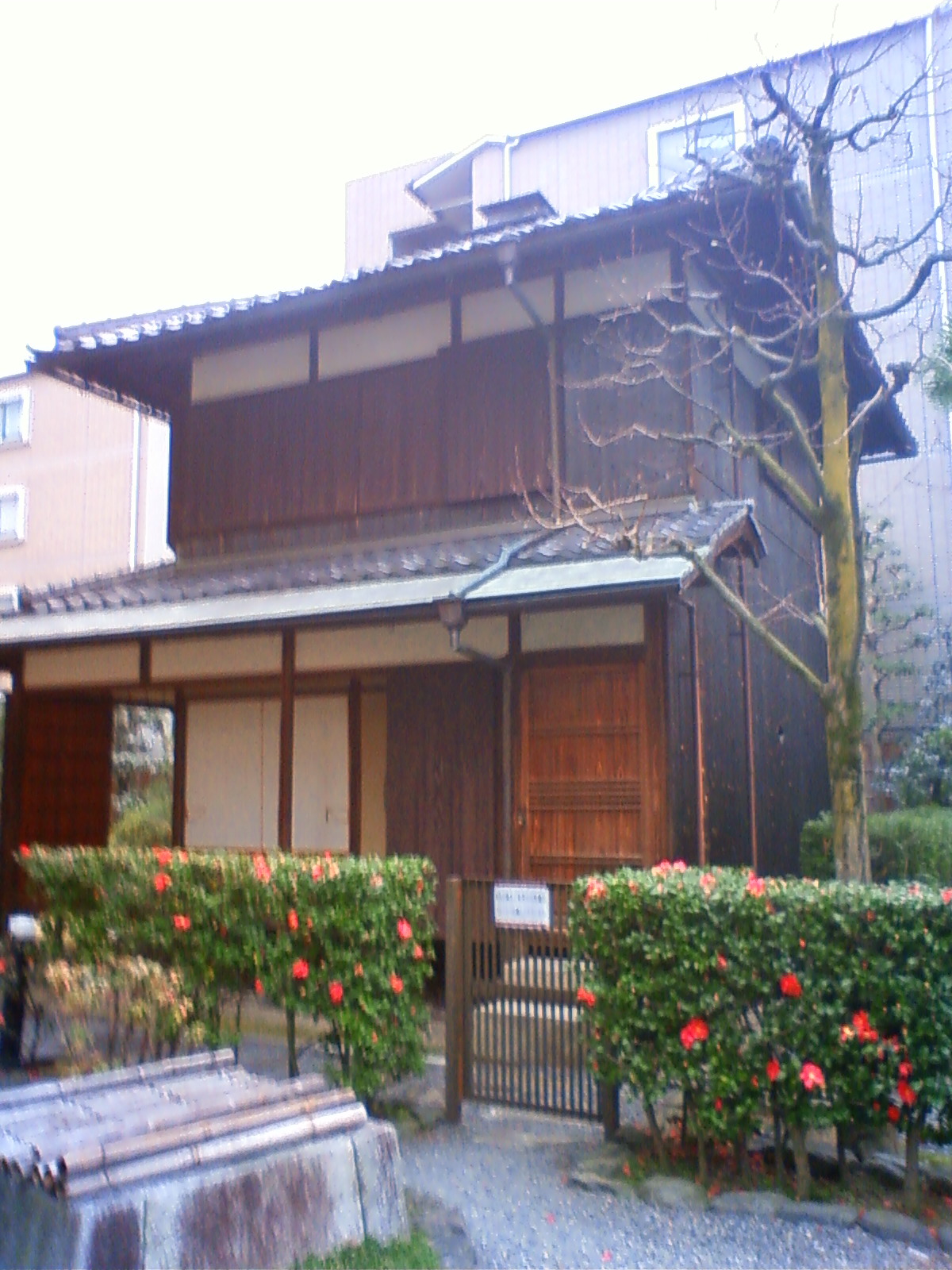 NEC_0223.JPG