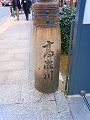 NEC_0231_thumb.png