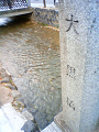 NEC_0234_thumb.png