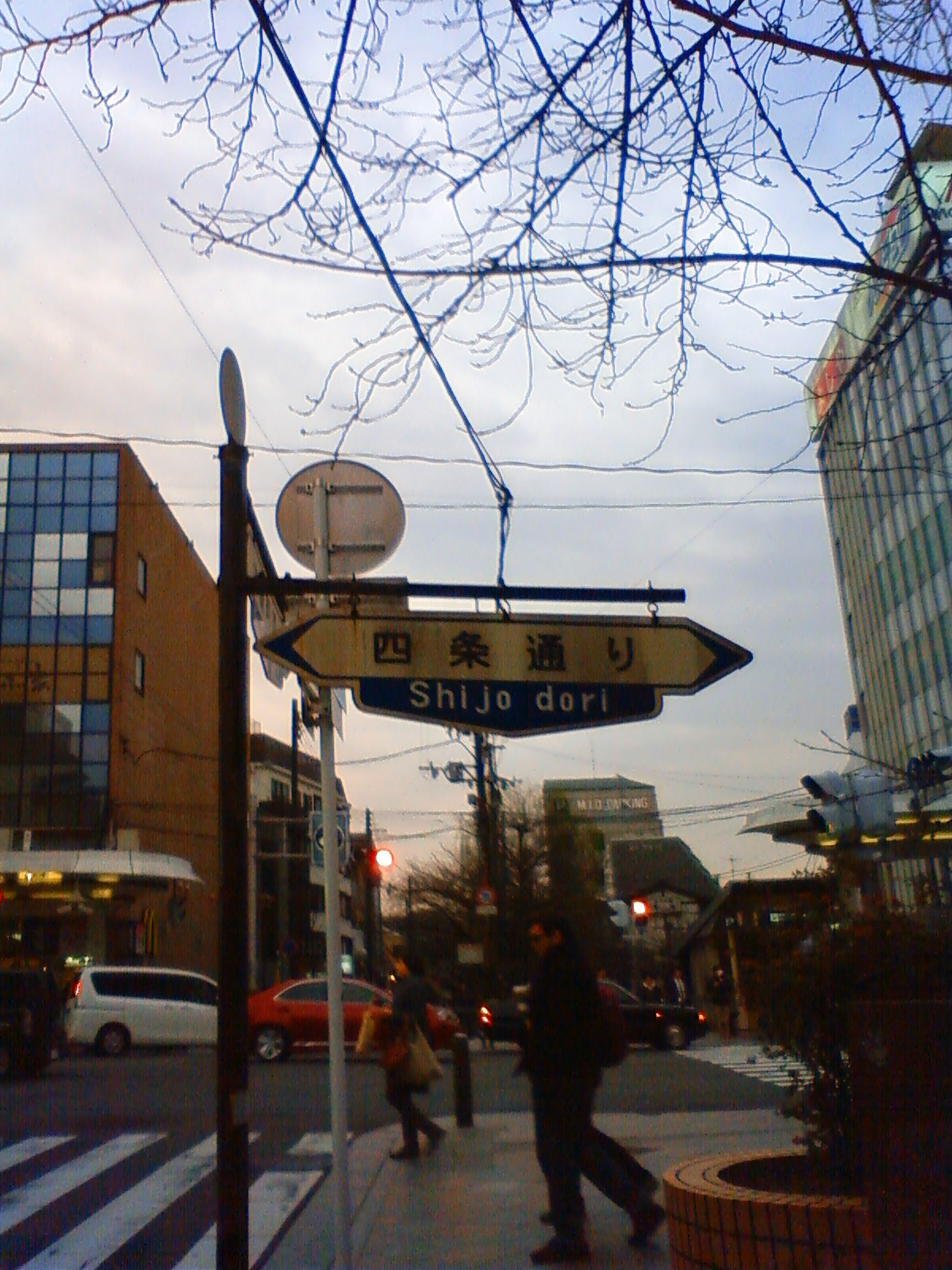 NEC_0244.JPG