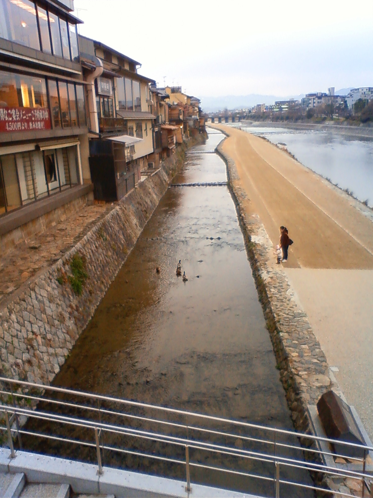 NEC_0247.JPG