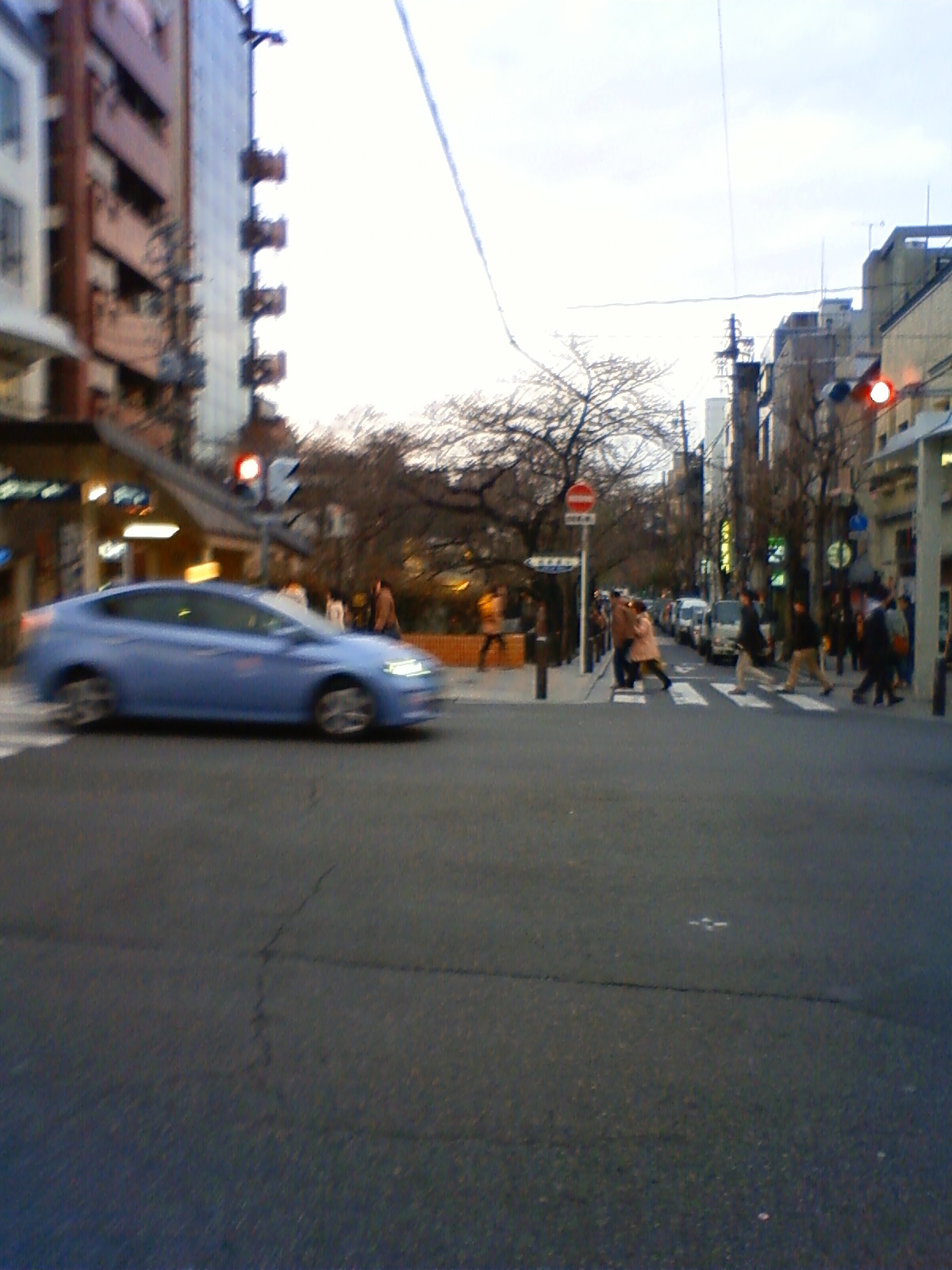 NEC_0255.JPG