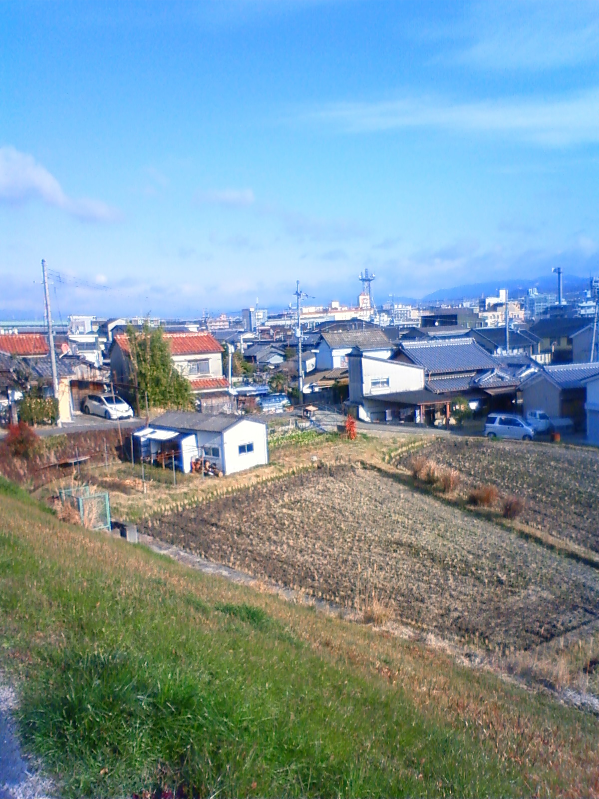 NEC_1785.JPG