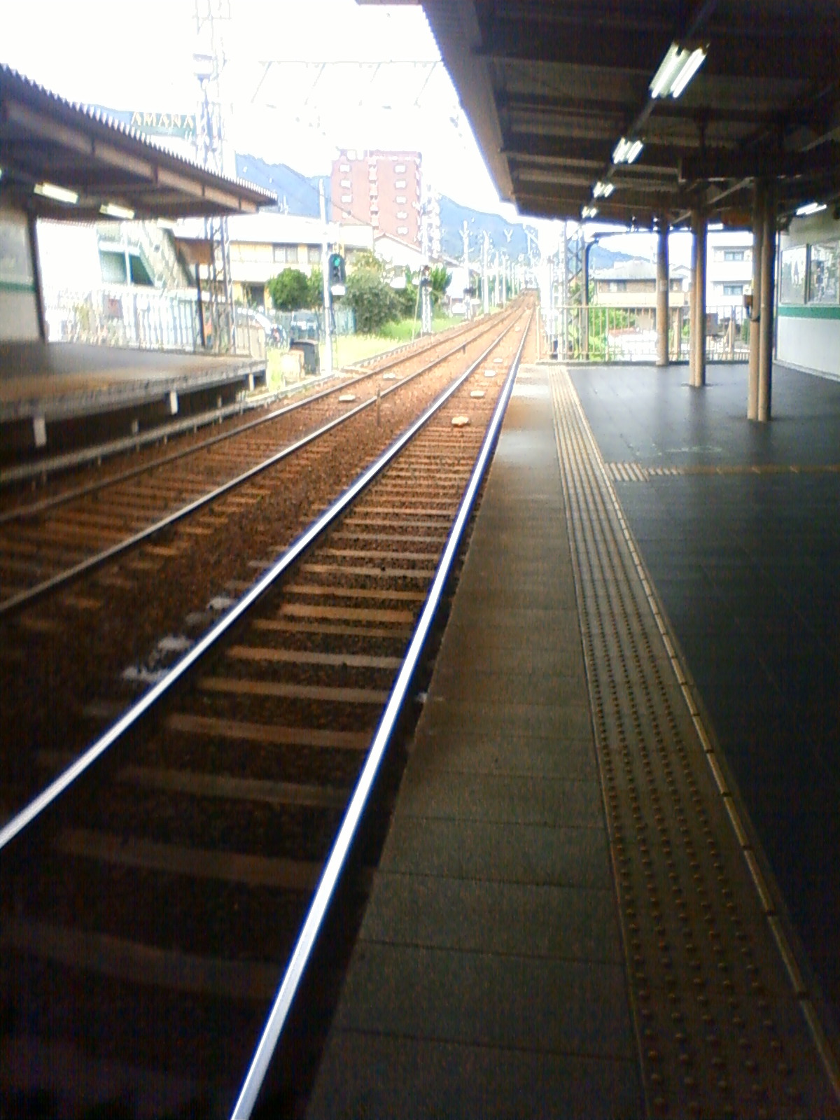 NEC_0782.JPG