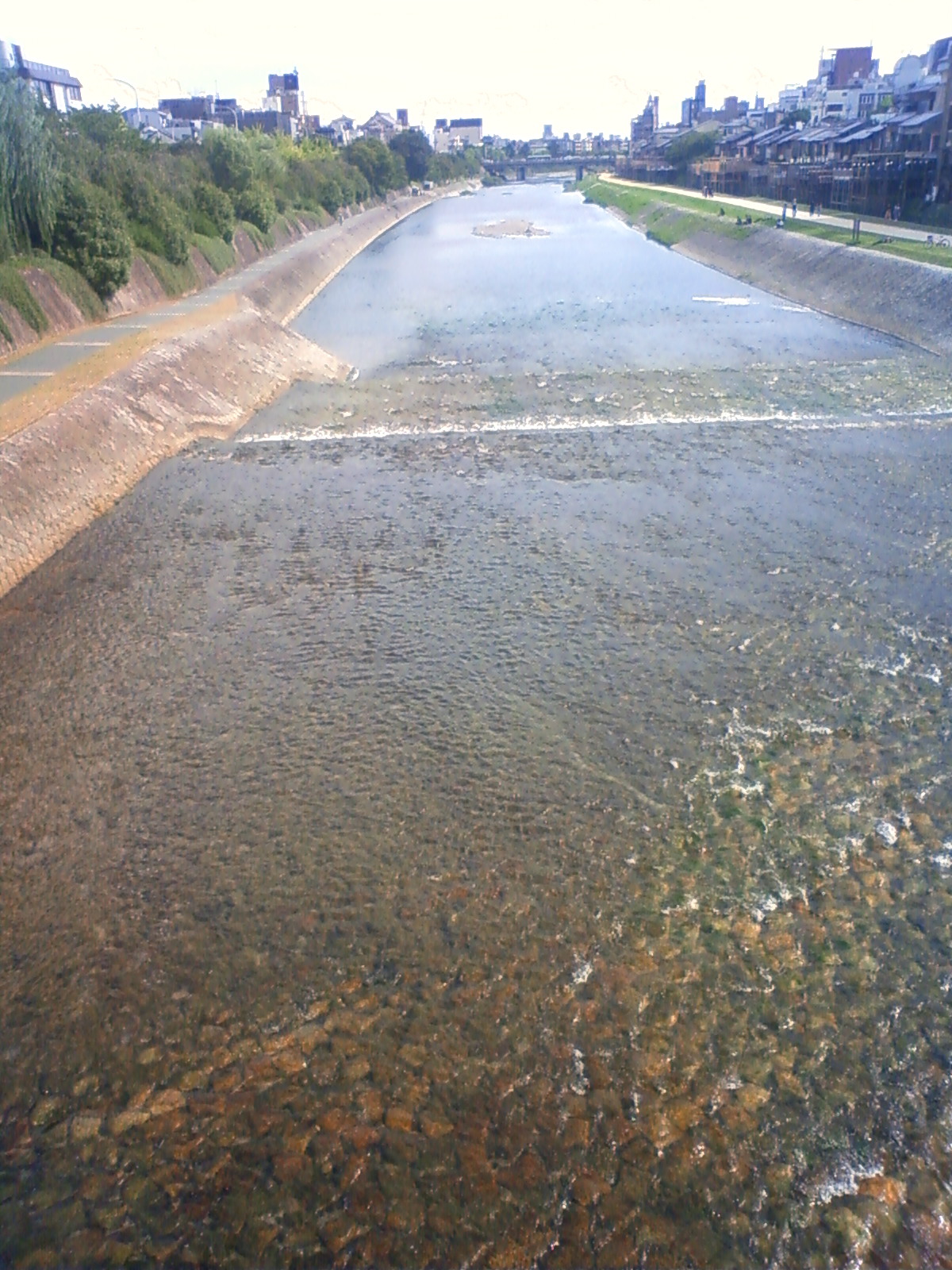 NEC_0792.JPG