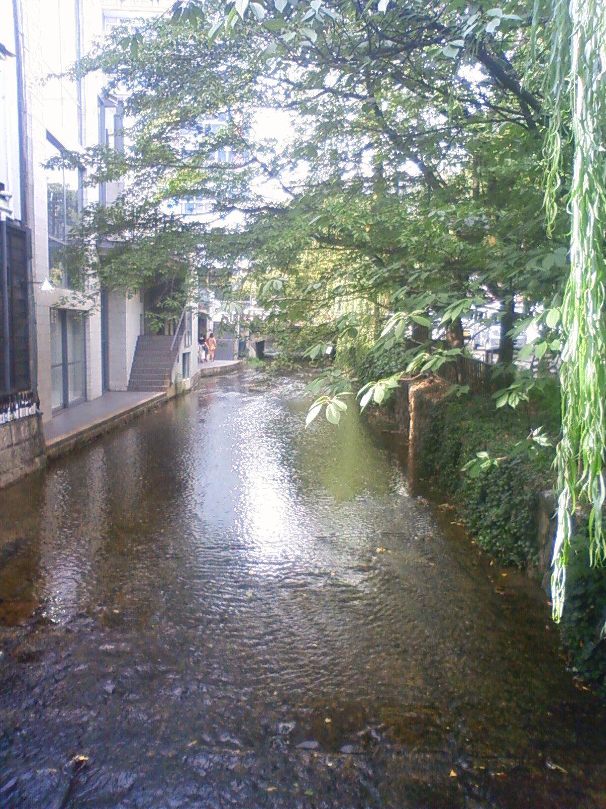NEC_0796.JPG