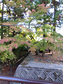 IMG_2024-11-13-11-07-21-595_thumb.png
