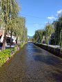 IMG_2024-11-13-12-06-28-946_thumb.png