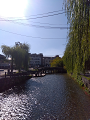 IMG_2024-11-13-12-06-35-458_thumb.png