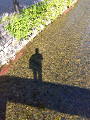IMG_2024-11-13-12-06-42-626_thumb.png