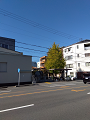 IMG_2024-11-13-12-10-15-587_thumb.png