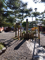 IMG_2024-11-13-12-55-01-390_thumb.png