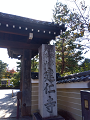 IMG_2024-11-13-13-15-00-797_thumb.png