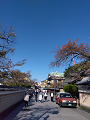 IMG_2024-11-13-13-15-07-293_thumb.png