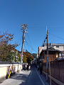IMG_2024-11-13-13-15-14-171_thumb.png