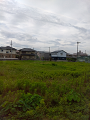 IMG_2023-07-12-09-38-27-345_thumb.png
