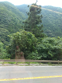 IMG_2023-07-12-10-32-17-462_thumb.png
