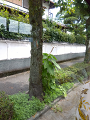 IMG_2023-07-12-13-00-01-356_thumb.png