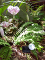 IMG_2023-07-12-13-34-06-783_thumb.png