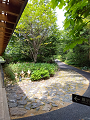 IMG_2023-07-12-13-38-27-323_thumb.png
