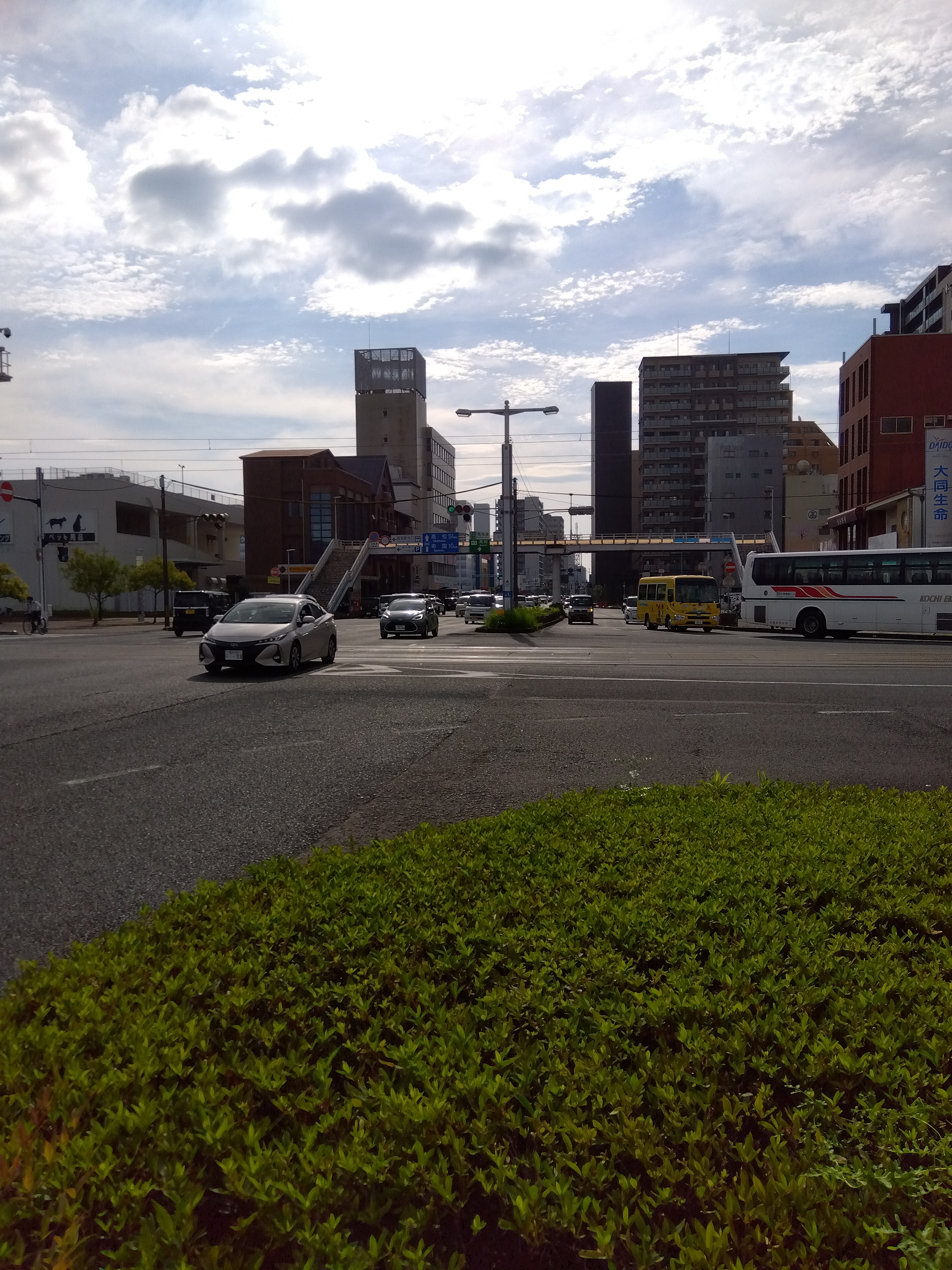 IMG_2023-07-13-07-53-17-594.jpg