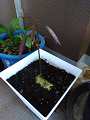 IMG_2025-06-19-06-55-32-822_thumb.png