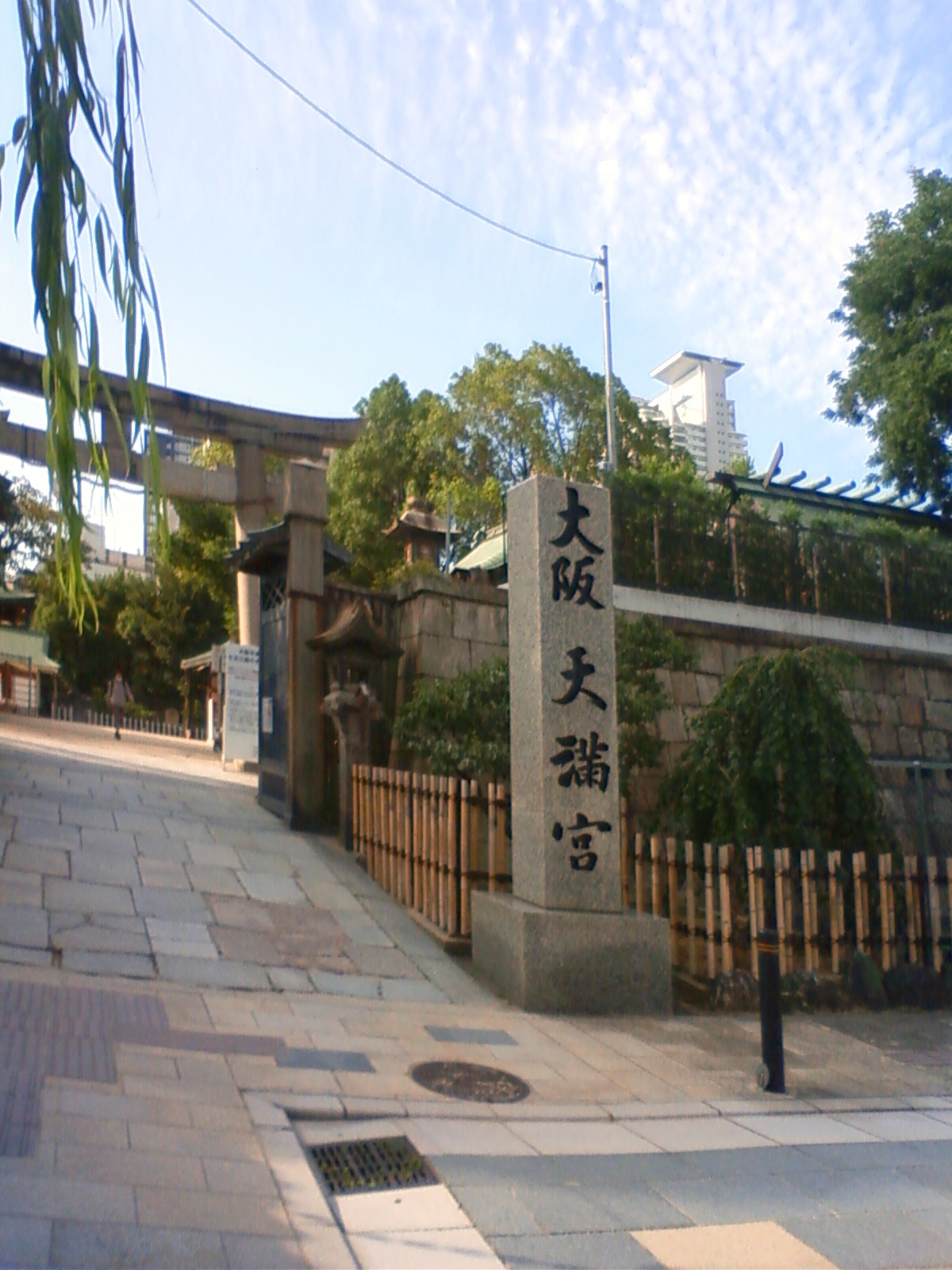 NEC_1460.JPG
