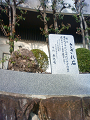 NEC_1464_thumb.png