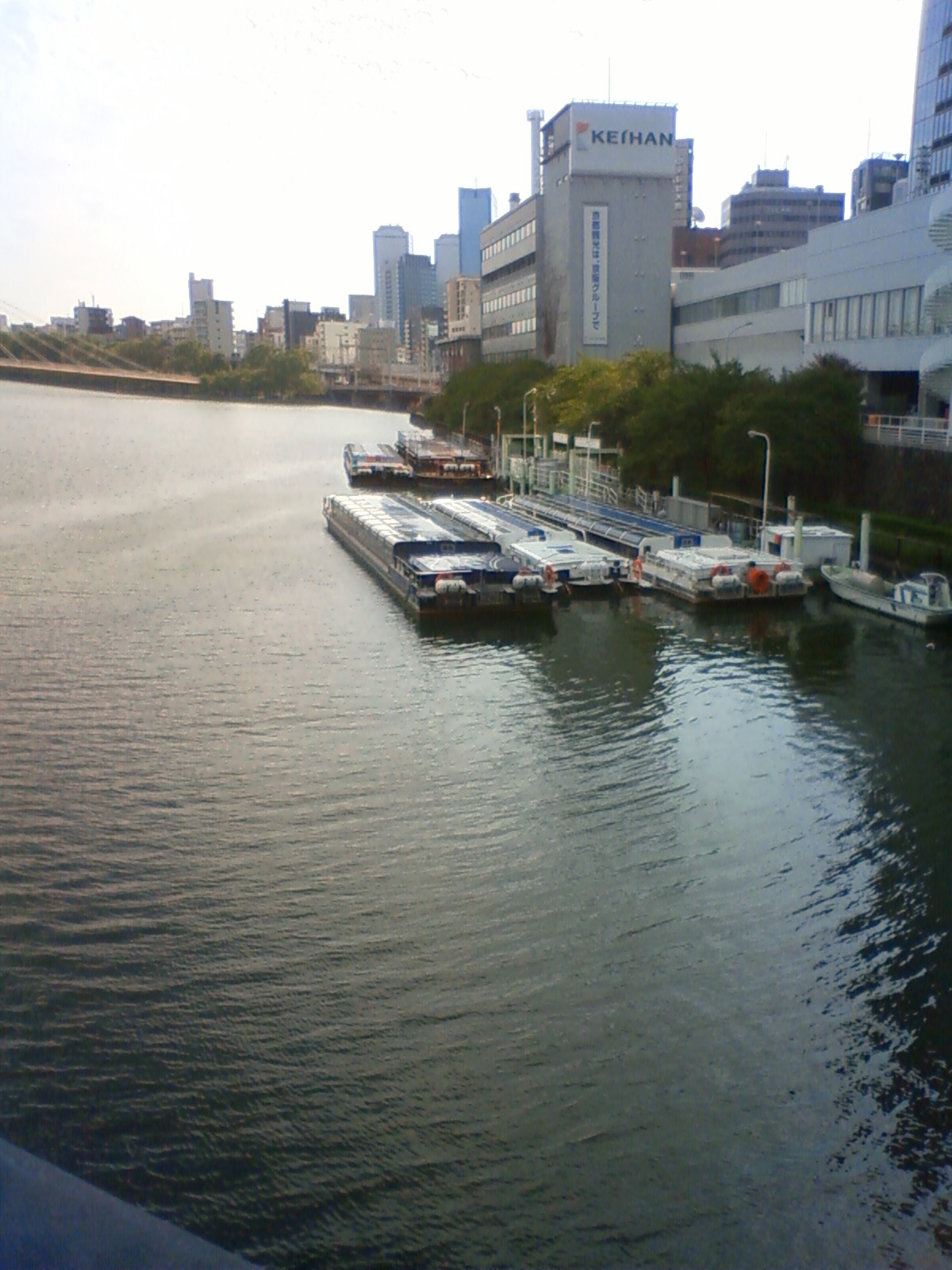 NEC_1471.JPG