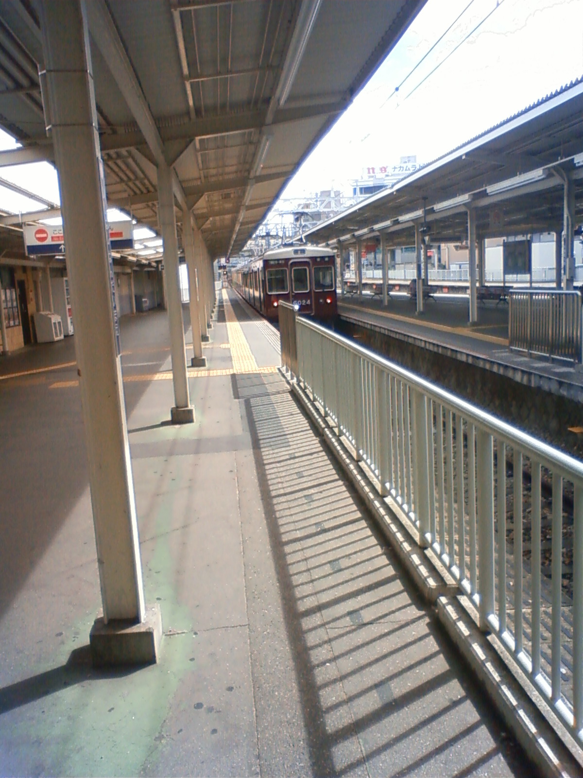 NEC_0521.JPG