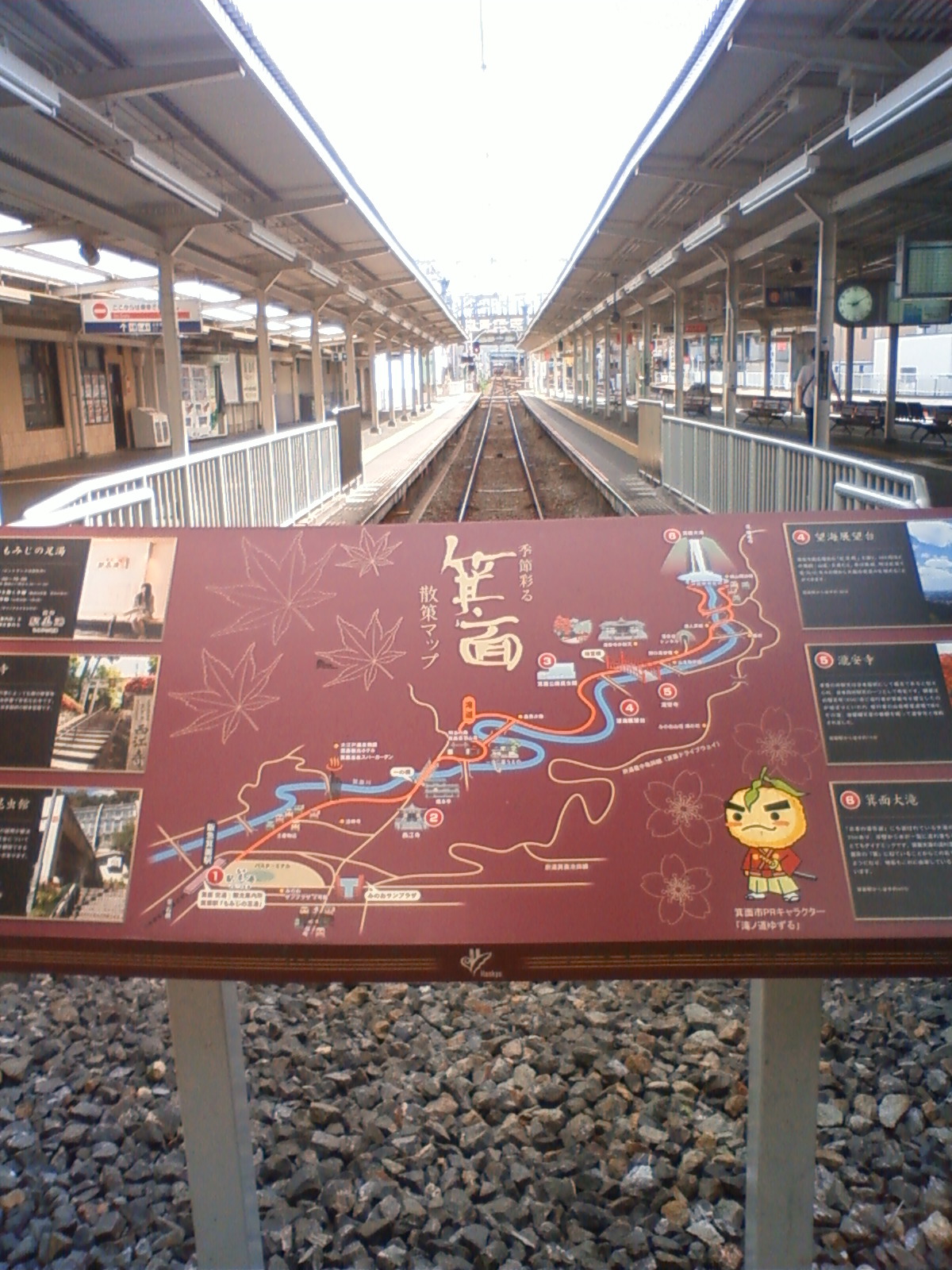 NEC_0522.JPG