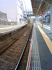 NEC_0527_thumb.png