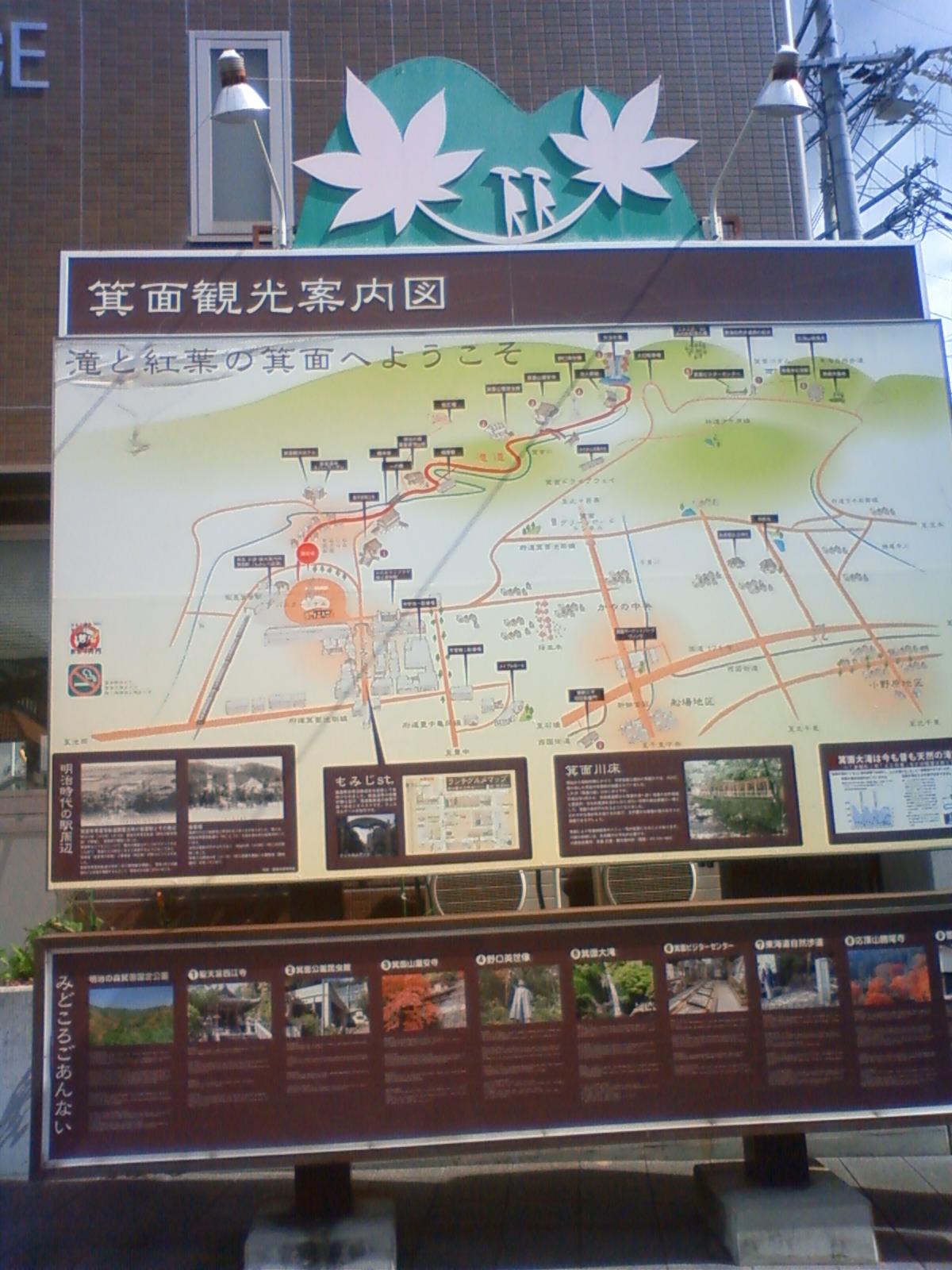 NEC_0535.JPG