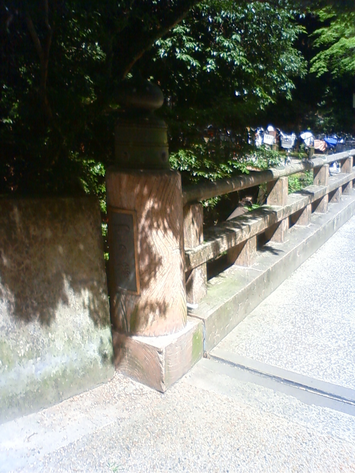 NEC_0540.JPG