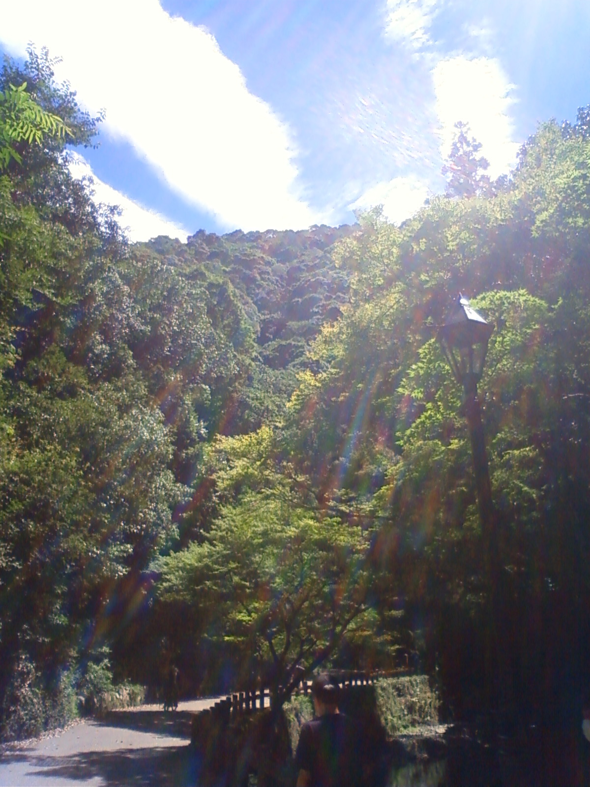 NEC_0550.JPG